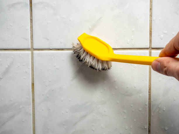 Best Commercial Mold Removal  in Roosevelt Gardens, FL