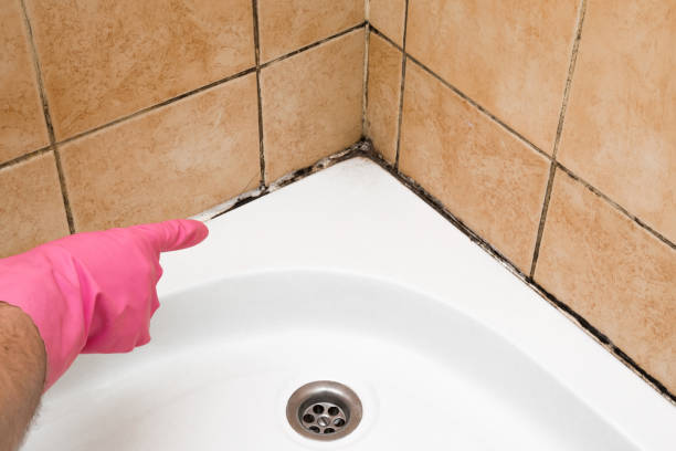 Water Damage Restoration in Roosevelt Gardens, FL
